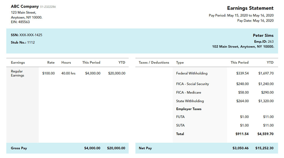 1099-pay-stub-template